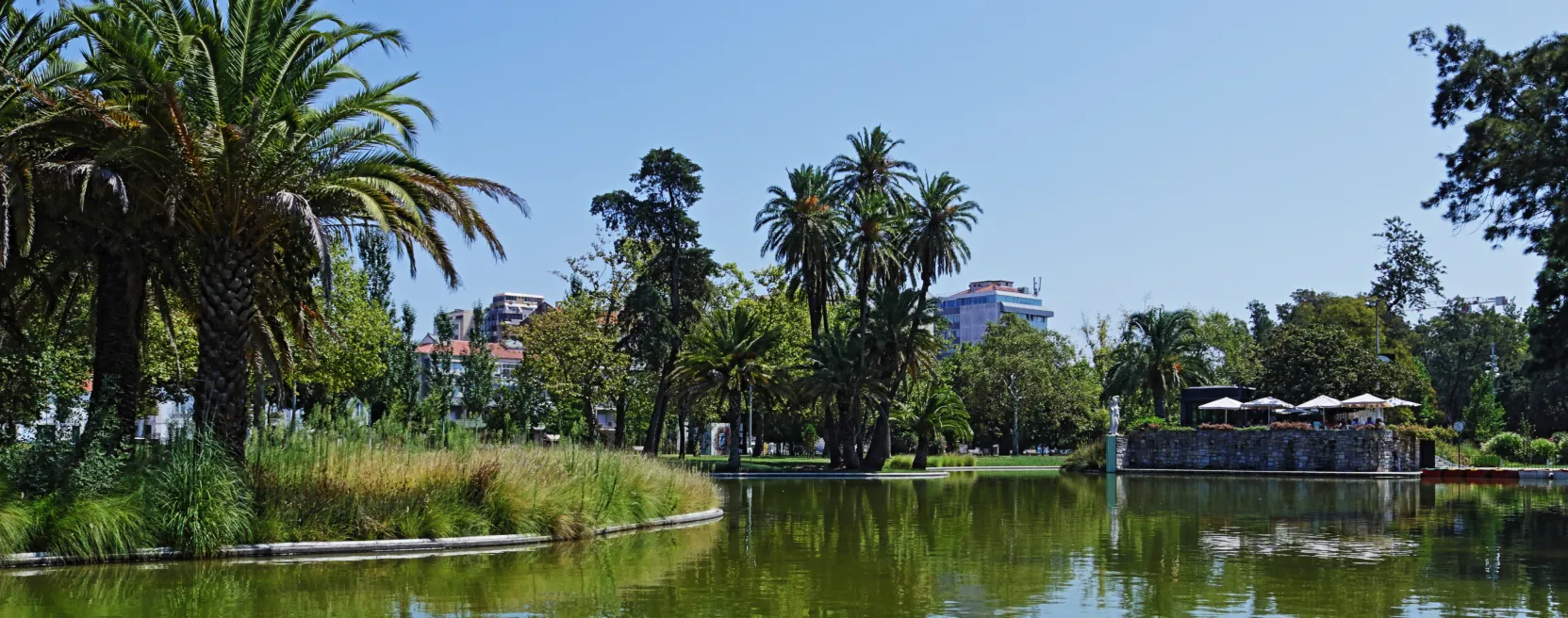Vista do Jardim de Alvalade, com palmeiras e um lago junto à Manteigaria
