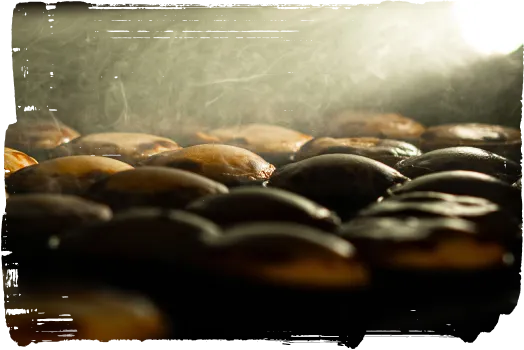 Pastéis de nata sortant du four, encore chauds